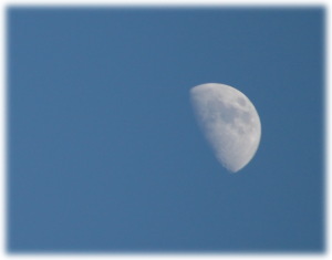 zajęcia sekcji astronomicznej